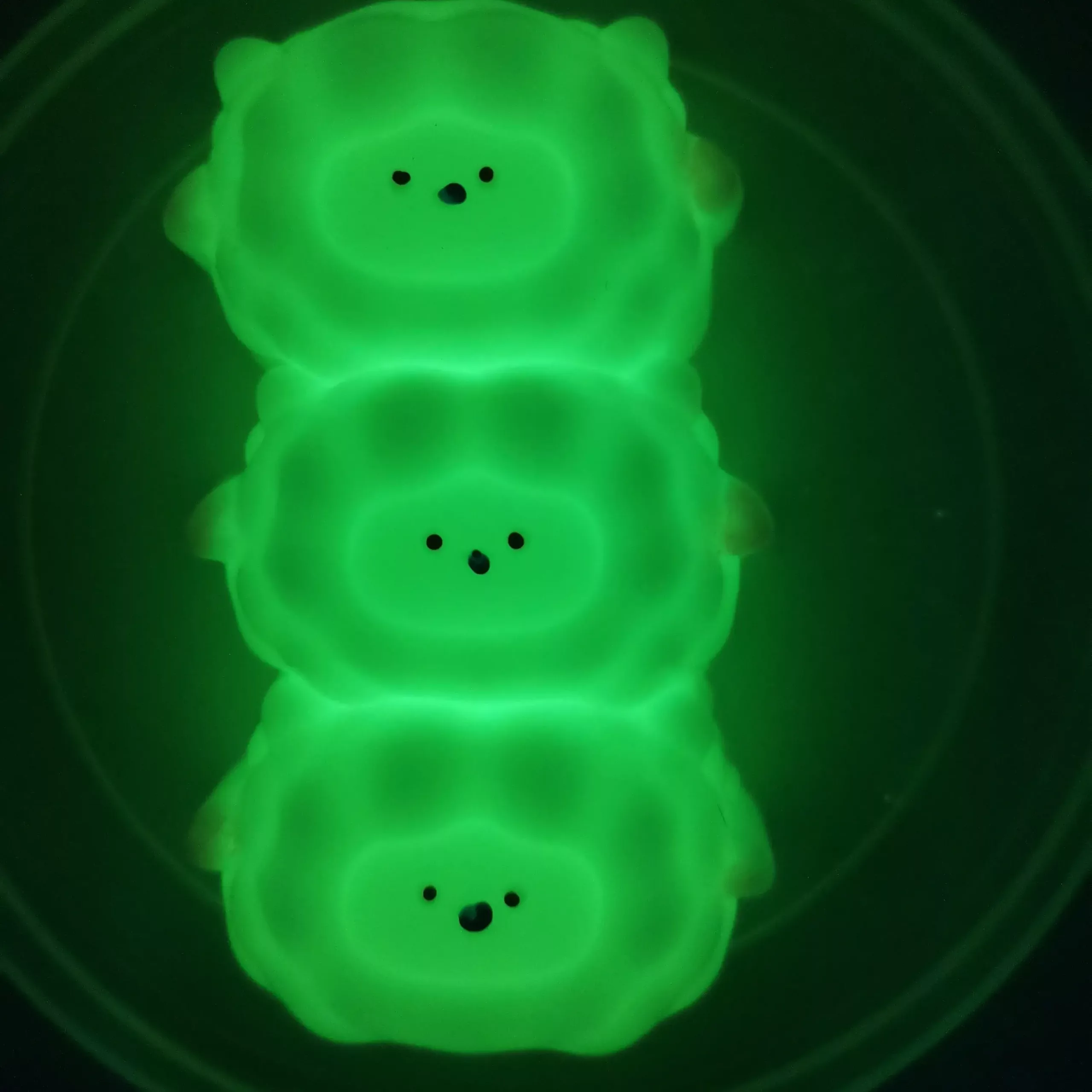 Glow in the Dark Powder Supplier – Bulk Photoluminescent Pigment & Expert Guide 24 Glow-in-the-dark squishy toy for stress relief and fun play